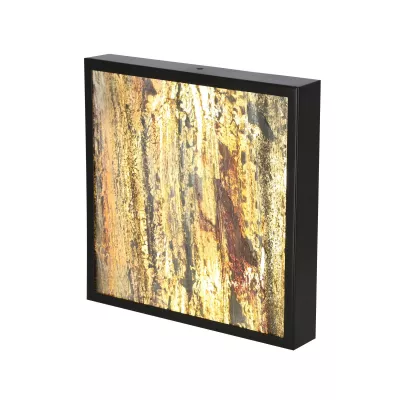 Stropné LED svetlo LUXAN - 28W, 4000K (denná biela), 29x29cm, čierne / rôznofarebné 3