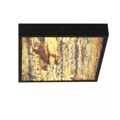 Stropné LED svetlo LUXAN - 28W, 4000K (denná biela), 29x29cm, čierne / rôznofarebné 3