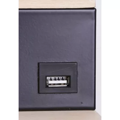Nástenné LED svietidlo s USB portom ANET - 2x4W, 4000K (denná biela), hnedé / čierne