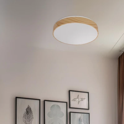 LED stropné svetlo FIGARO - 24W, 3000-6000K (teplá-studená biela), hnedé / biele
