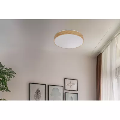 LED stropné svetlo FIGARO - 24W, 3000-6000K (teplá-studená biela), hnedé / biele