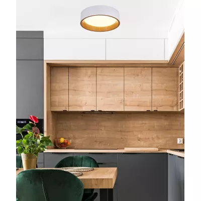 Prisadené LED stropné svietidlo LAZIO - 24W, 4000K (denná biela), hnedé / biele