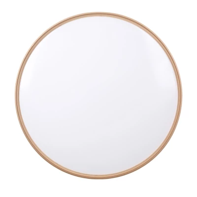 Prisadené LED stropné svietidlo MONTANA - 24W, 4000K (denná biela), zlaté / biele