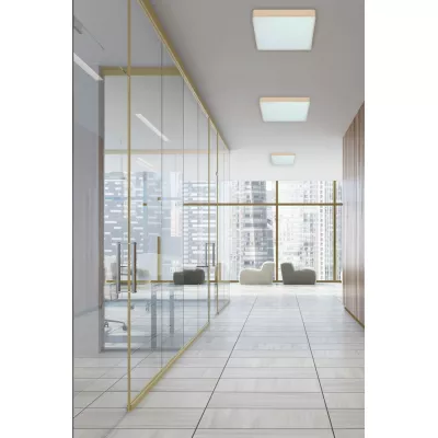 LED stropné kúpeľňové svietidlo QUATTRO - 18W, 4000K (denná biela), perlové