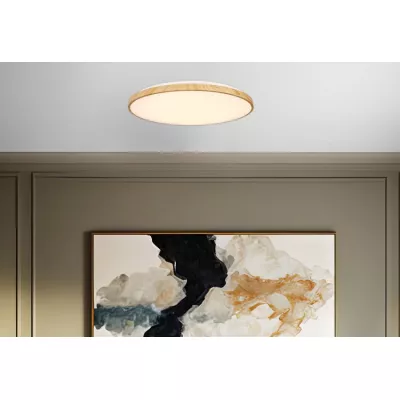 LED stropné svetlo TENS - 48W, 3000-6000K (teplá-studená biela), hnedé / biele