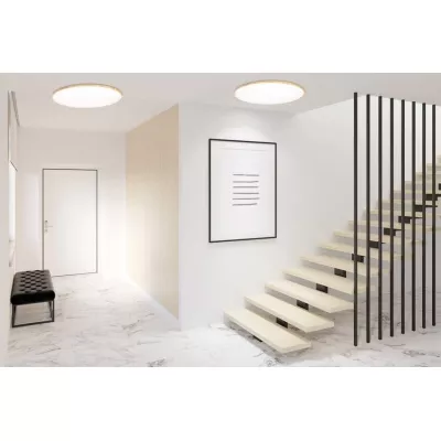 LED stropné svetlo TENS - 48W, 3000-6000K (teplá-studená biela), hnedé / biele