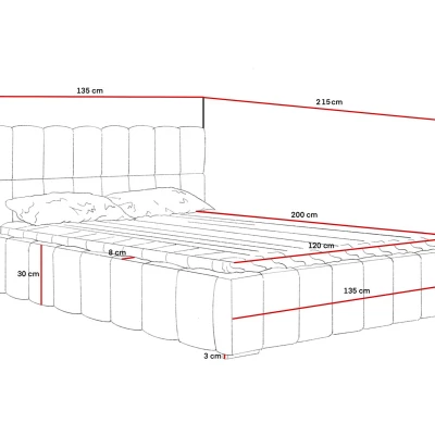 Čalúnená posteľ 120x200 s úložným priestorom DUMFRIES - popolavá