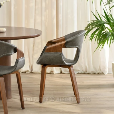 Jedálenská stolička DARLENIS - zelená / orech