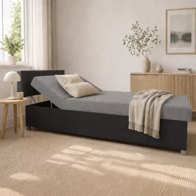 Polohovacia váľanda s úložným priestorom 110x200 ORNOVA - svetlo šedá / čierna