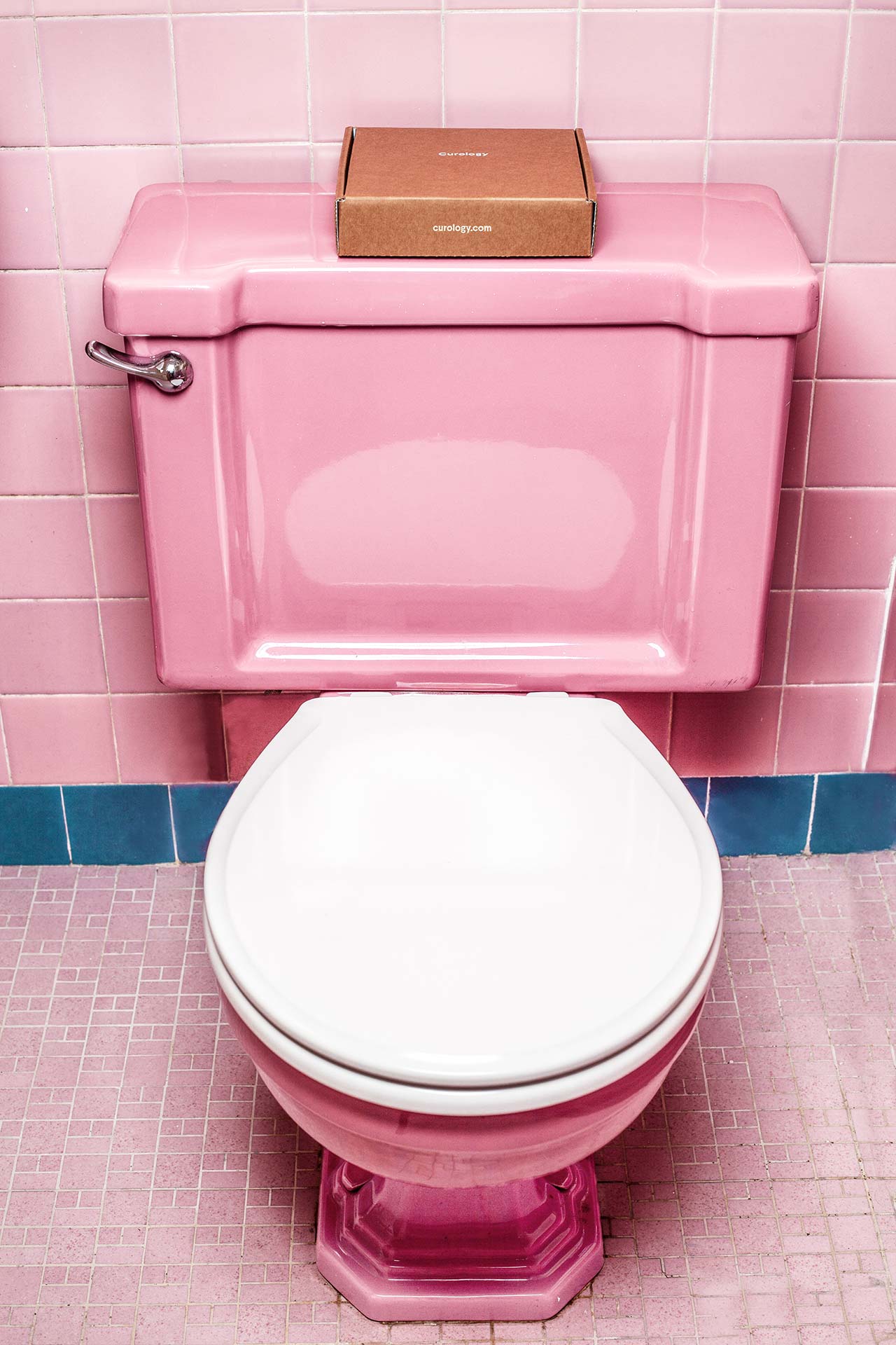 Rúžový záchod pre skutočných fanúšikov rúžovej
