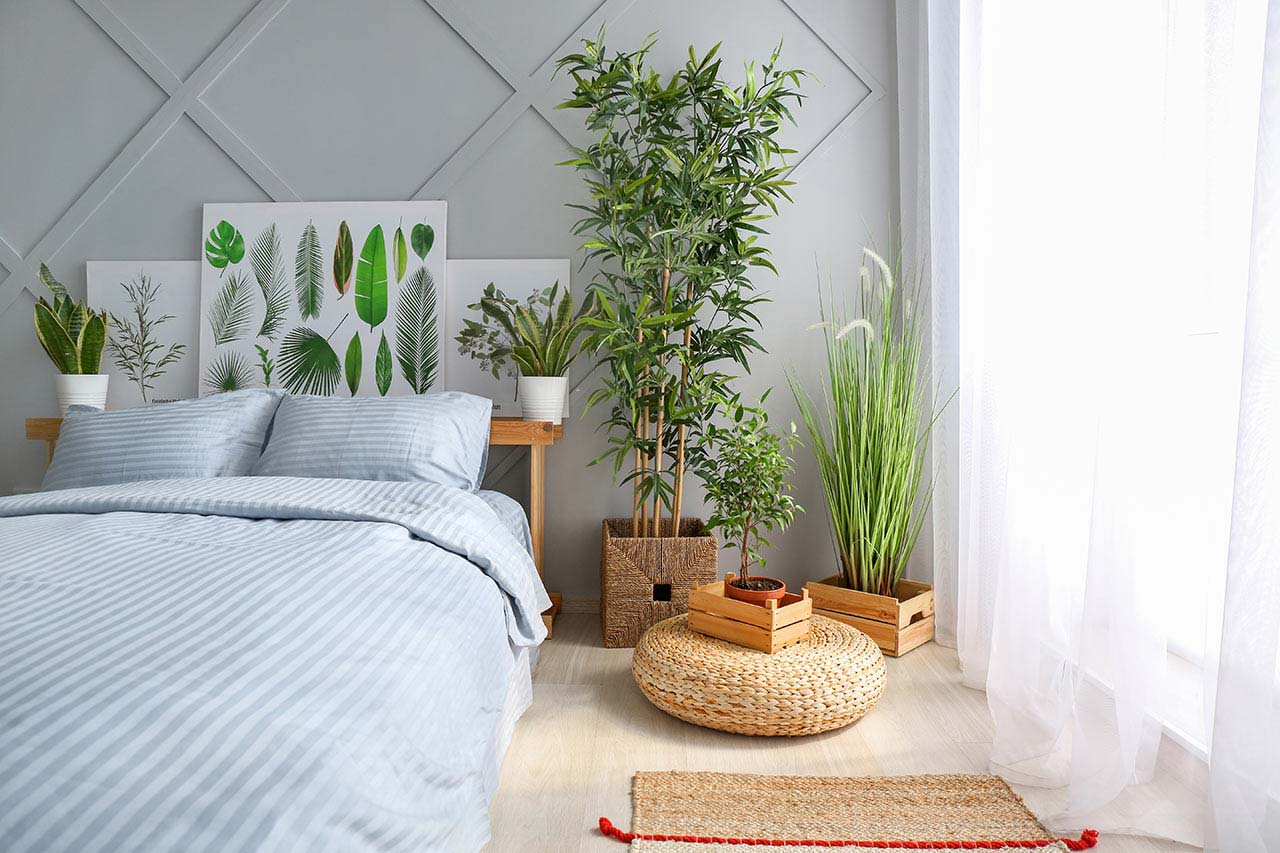 Harmonizujúcim prvkom v spálni sú podľa východného učenia izbové rastliny