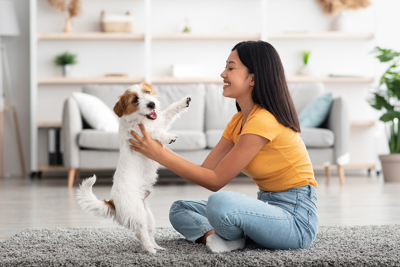 Šťastné dievča so psíkom v menšej obývačke