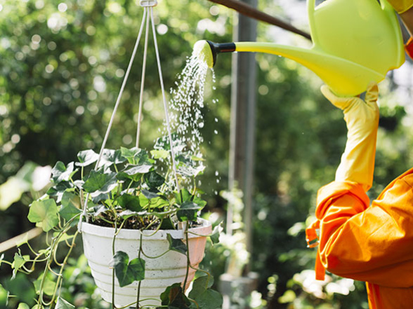 Urban gardening alebo pestovanie ovocia, zeleniny aj kvetov na balkóne